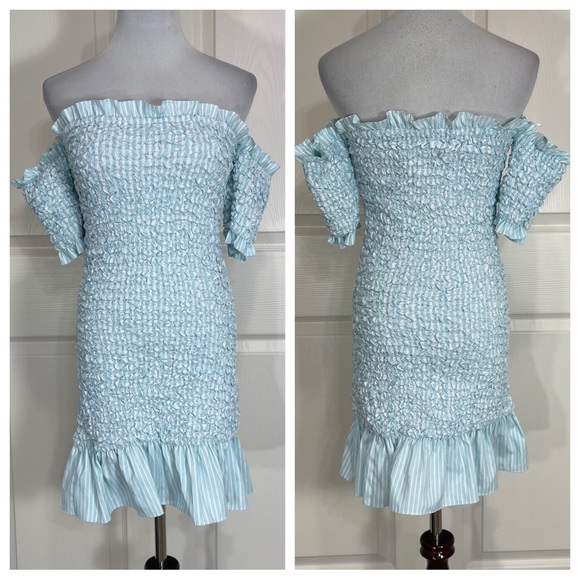 NWT! Petersyn Diana Mini Dress - Picture 6 of 11